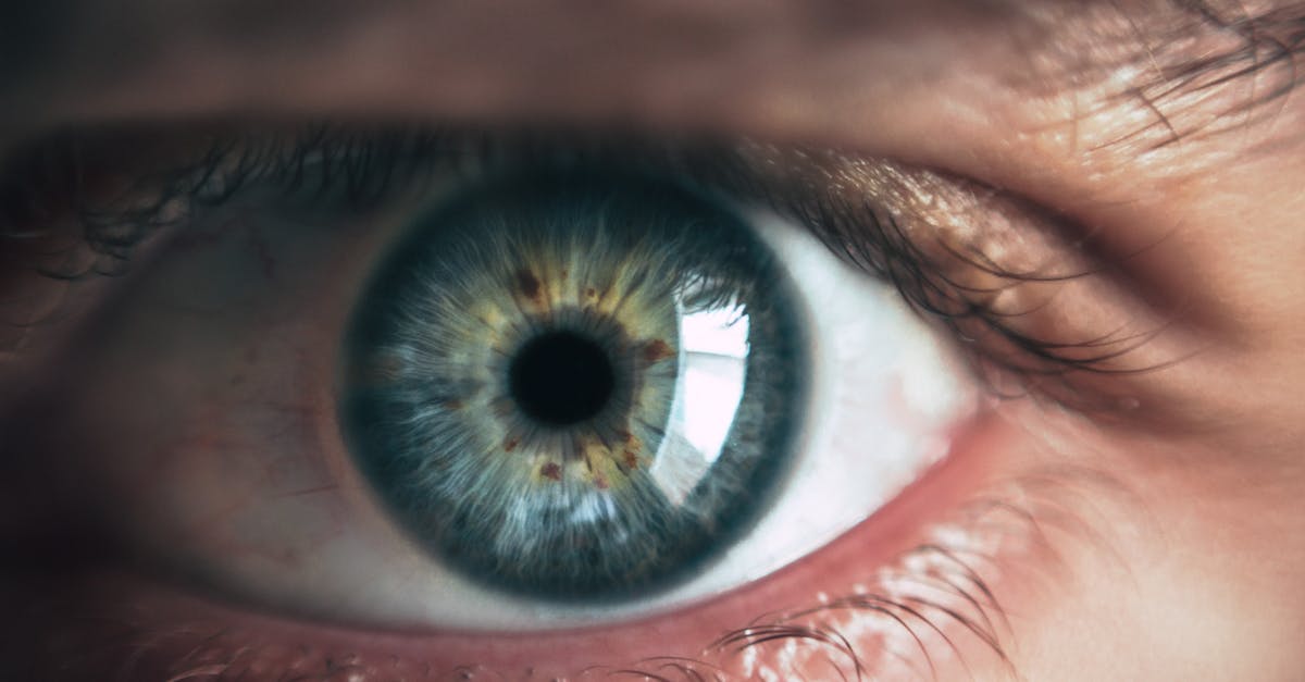 Focus Clarity 7B5B88132758B27D3313A91Da460A723