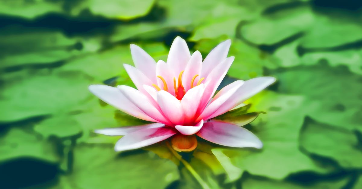 Mindfulness Meditation For Anxiety C3C390Dbeacd4C3D841Cf5Db13B46073