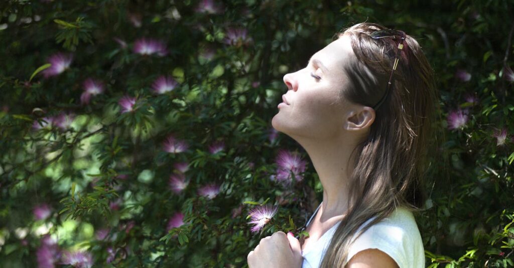 Mindfulness Meditation for beginners 28a961533c227fefadd535ea4213c47e