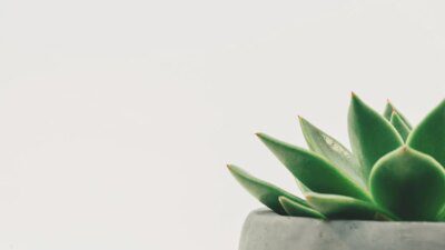 Minimalist Living Ideas Aa105B34E390B2Ed3Df4B8D6D32Ded1C