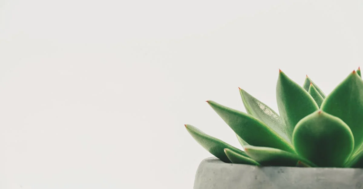 Minimalist Living Ideas Aa105B34E390B2Ed3Df4B8D6D32Ded1C