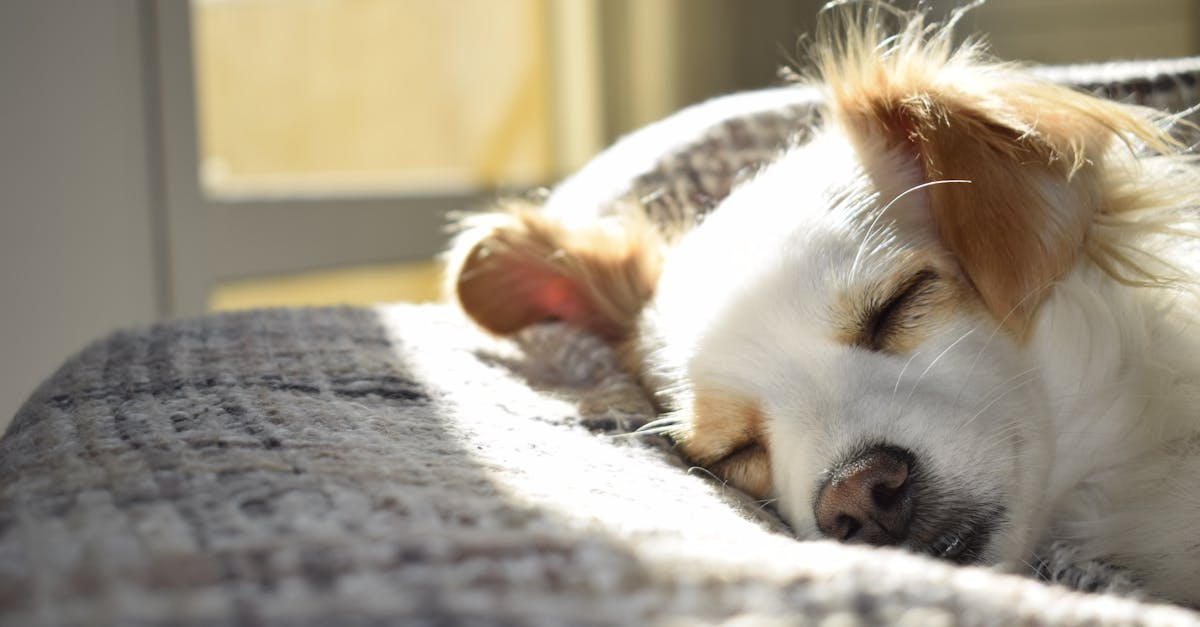 Sleep Recovery Tips E8Bb4B8Fbf020045C93387B63E873C98